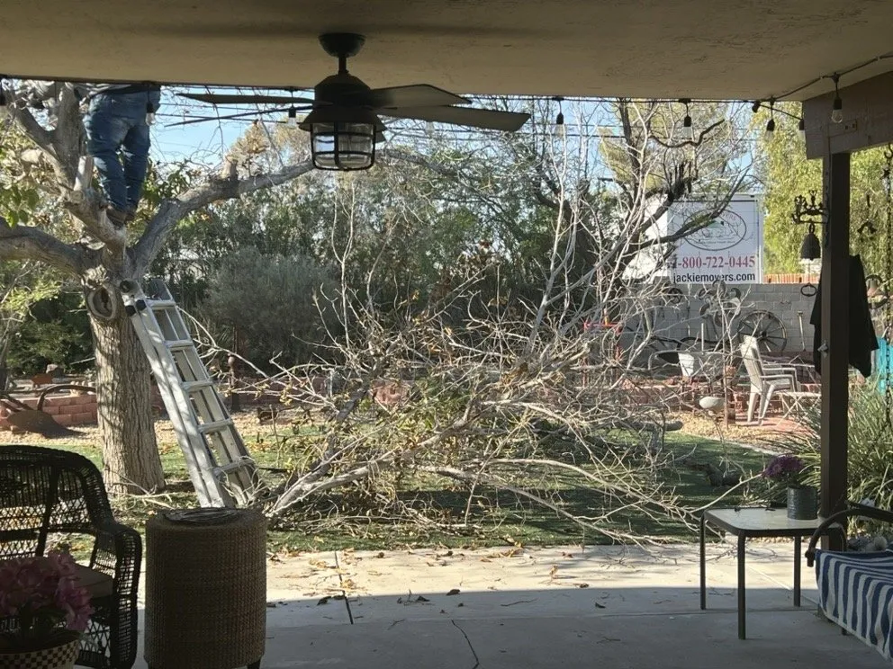 Professional lawn mowing service for outdoor upgrades across Las Vegas, NV - Schilling Horticulture Group