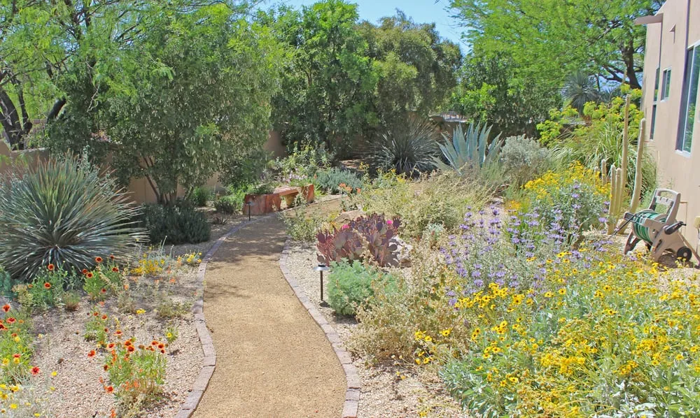 Local yard maintenance for beautiful yards across Las Vegas, NV - Schilling Horticulture Group