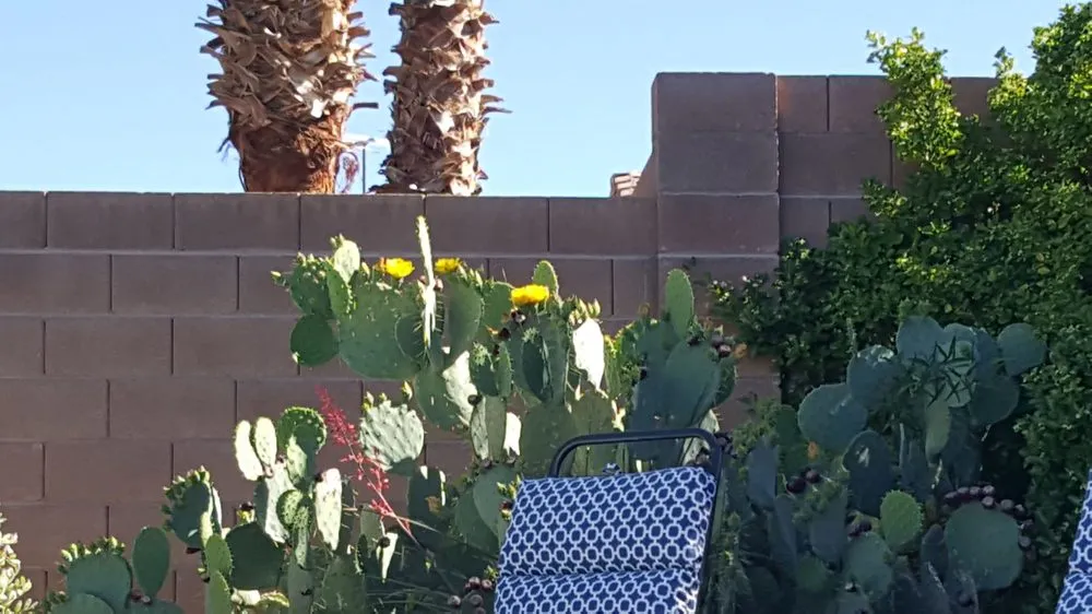 Custom residential landscaping for residential properties across Las Vegas, NV - Schilling Horticulture Group