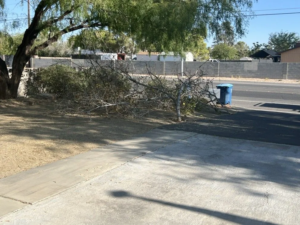 Trusted lawn care service for year-round maintenance in Las Vegas, NV by Schilling Horticulture Group