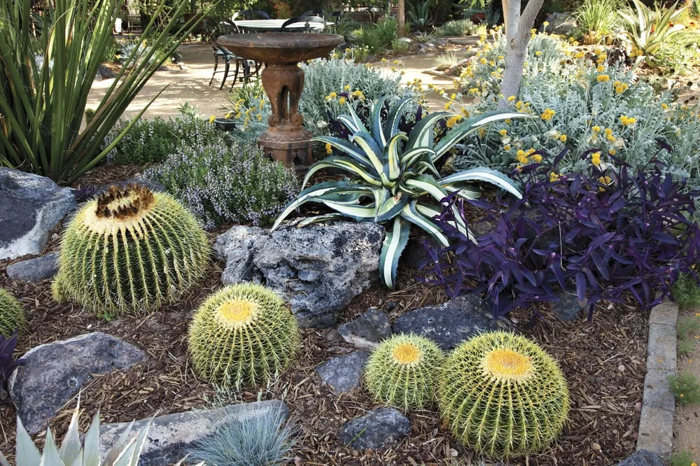 Affordable residential landscaping experts serving Las Vegas, NV - Schilling Horticulture Group