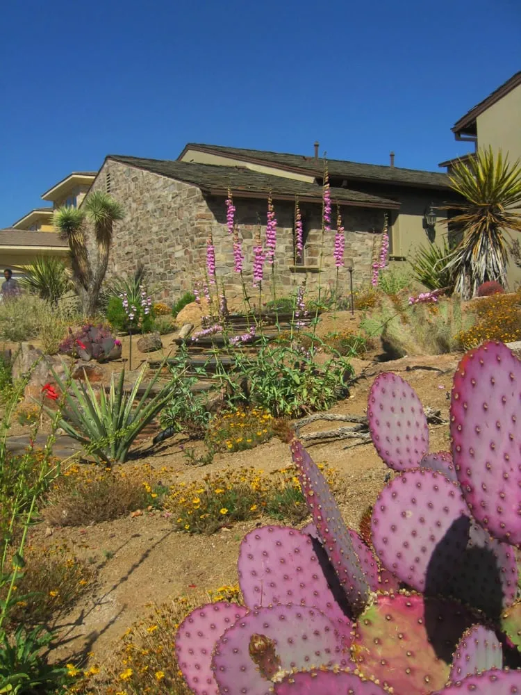 Professional lawn mowing service in Las Vegas, NV - Schilling Horticulture Group