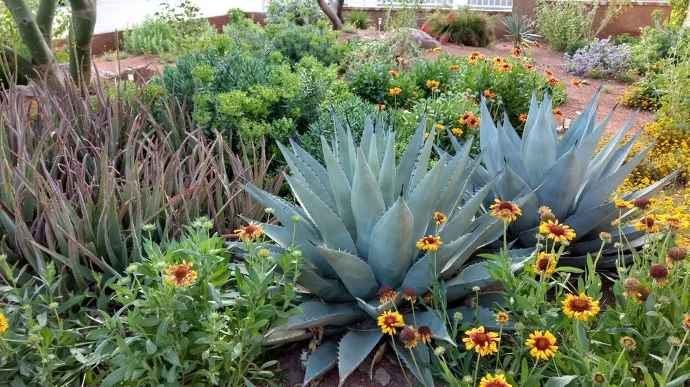 Trusted landscape installation in Las Vegas, NV by Schilling Horticulture Group