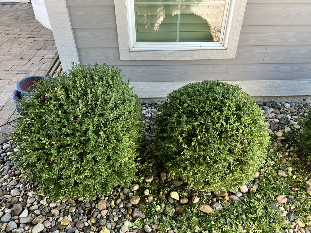 Professional outdoor landscaping experts serving Des Moines, IA - SchladerScapes