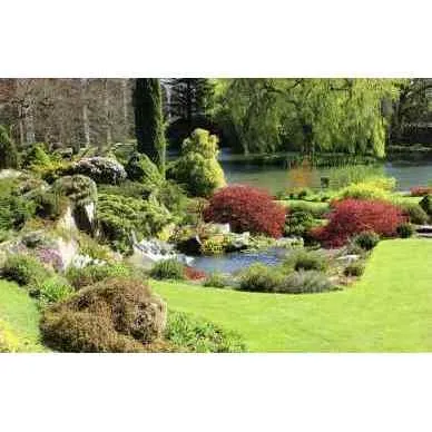 Trusted garden landscaping in Fairfield, CA - Schlafert Landscaping and Gardening