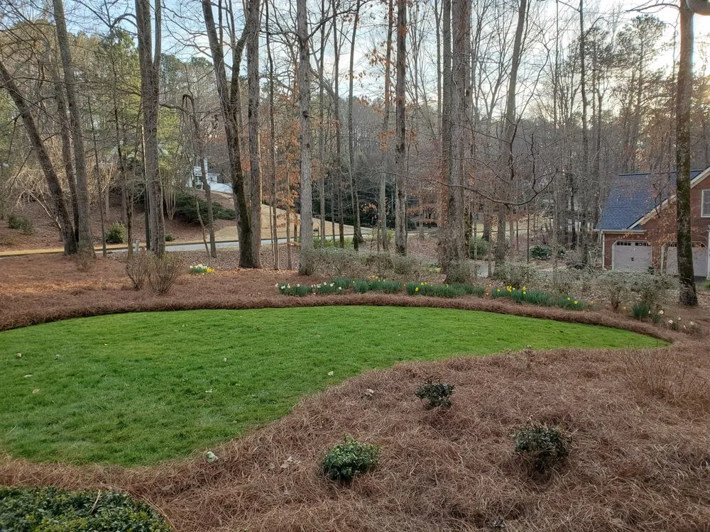 Reliable residential landscaping in Dallas, GA - Schlampp Turf Management