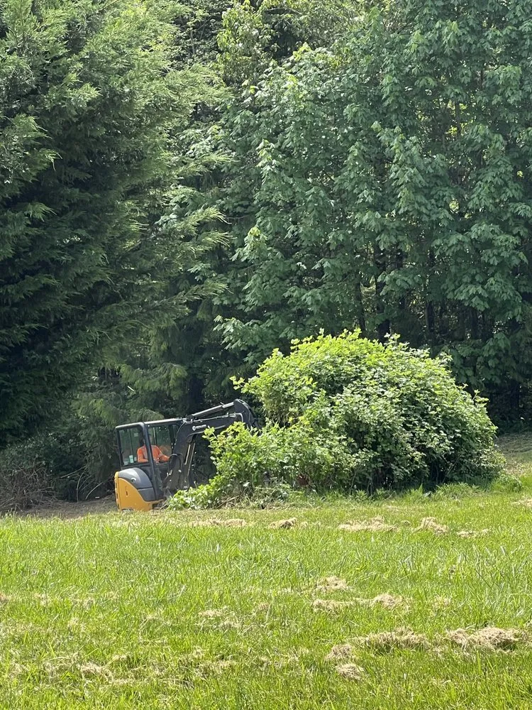 Professional landscaping services experts serving Woodland, WA - Schlappi Construction