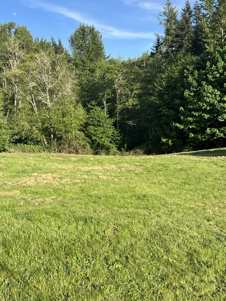 Reliable landscaping services for year-round maintenance in Woodland, WA by Schlappi Construction