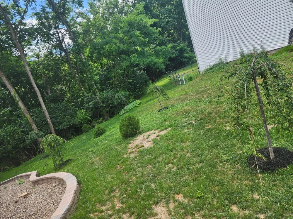 Expert lawn mowing service for residential properties in Lewistown, PA by Schlegel's Lawn & Garden