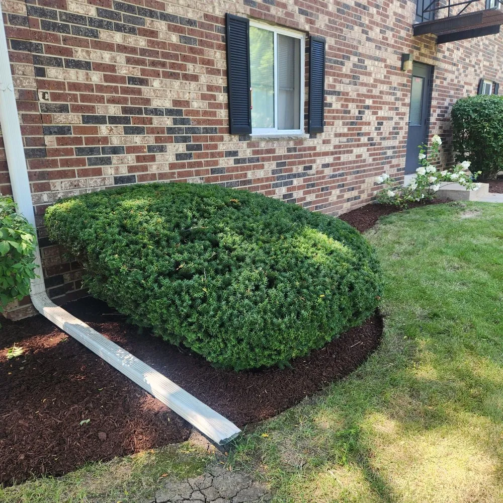 Professional yard maintenance in Union Grove, WI - Schlei Snowplowing and Lawn Service