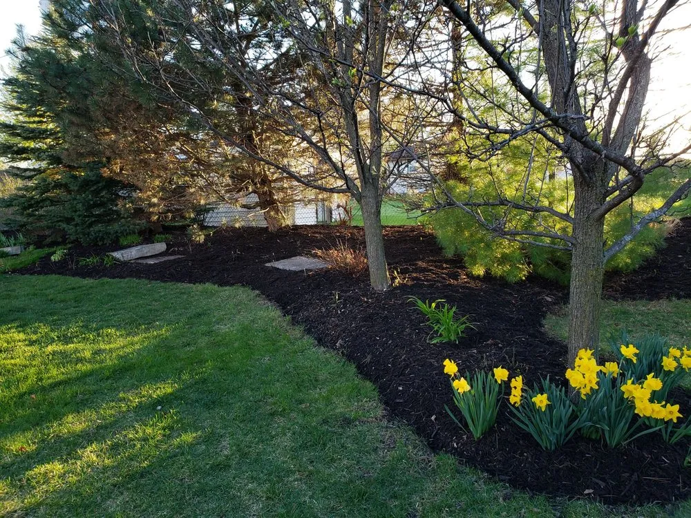 Affordable lawn care service in Union Grove, WI - Schlei Snowplowing and Lawn Service