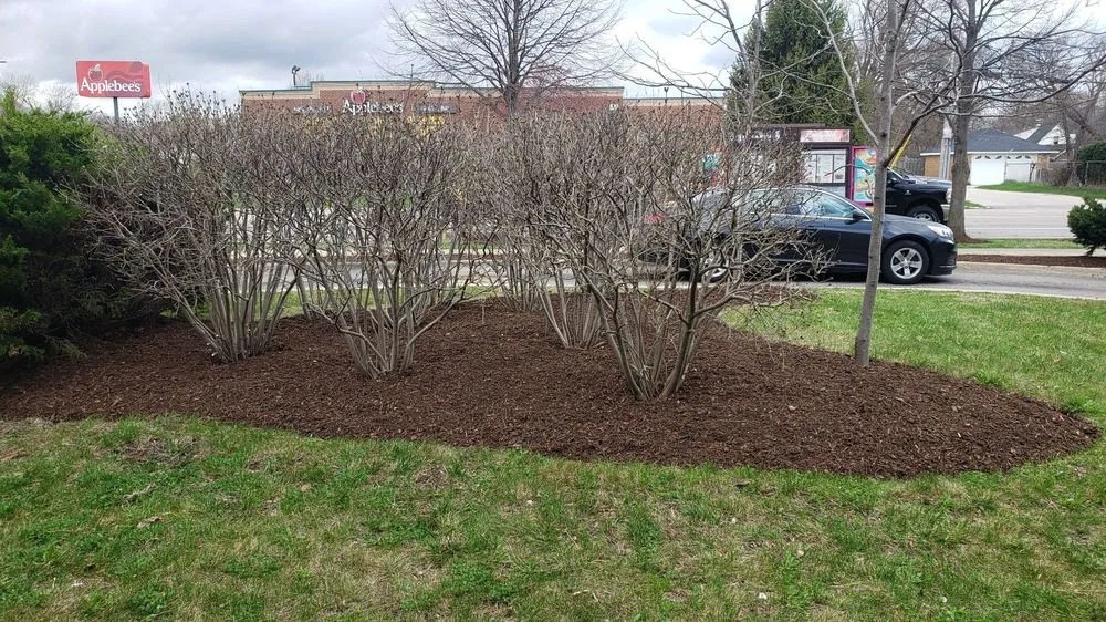 Reliable landscape design in Union Grove, WI by Schlei Snowplowing and Lawn Service