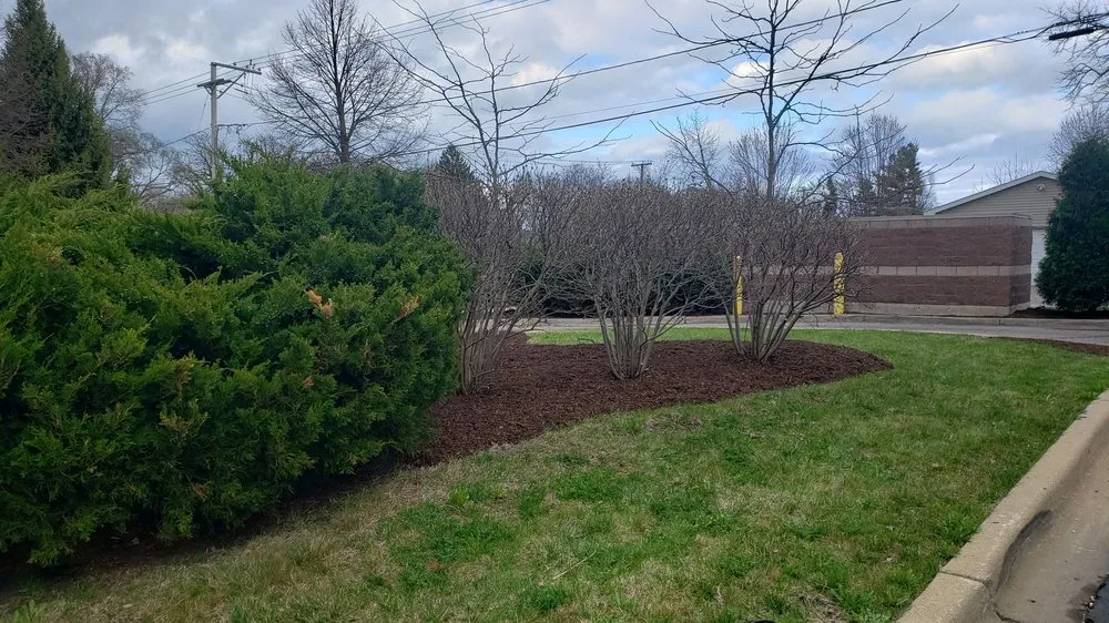 Expert yard cleanup service in Union Grove, WI by Schlei Snowplowing and Lawn Service