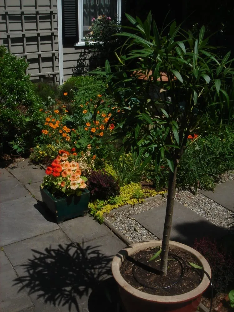 Custom landscape installation in Hampton Bays, NY - Schleicher Irrigation