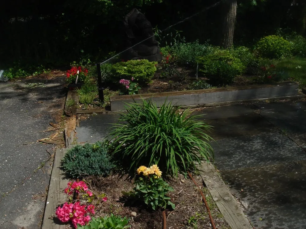 Local lawn mowing service for year-round maintenance in Hampton Bays, NY by Schleicher Irrigation