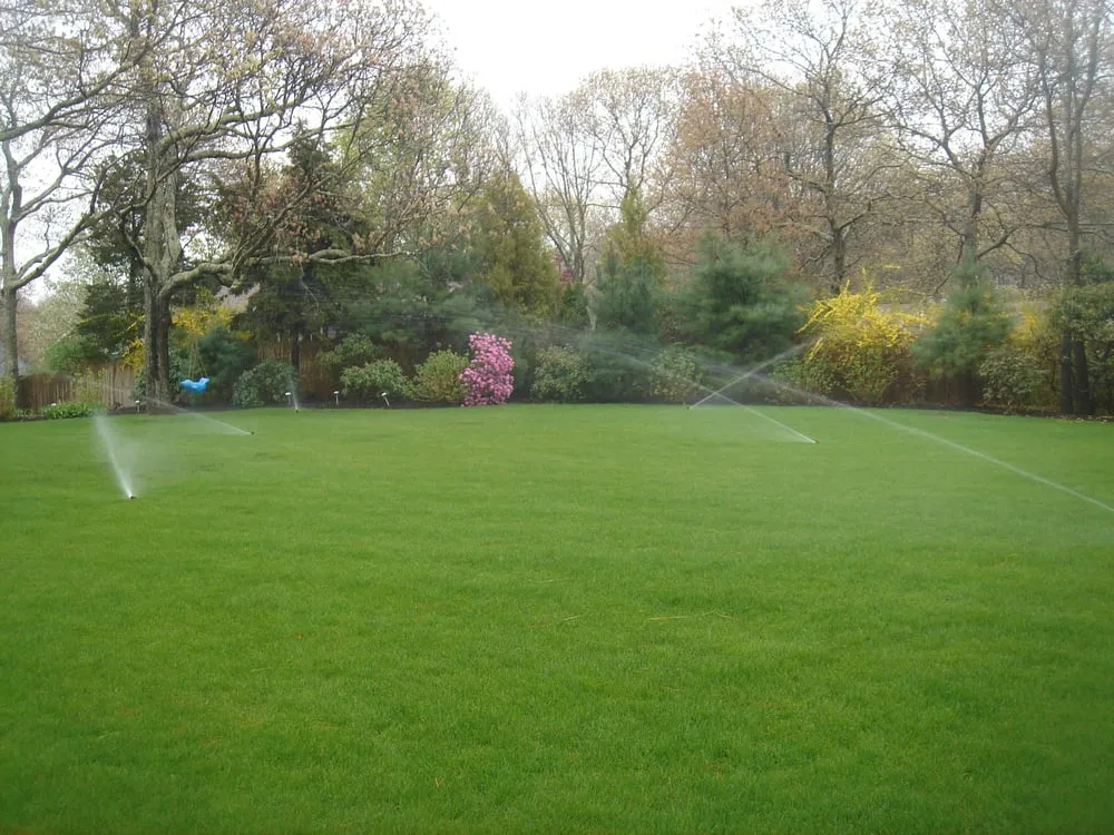 Trusted yard cleanup service in Hampton Bays, NY - Schleicher Irrigation