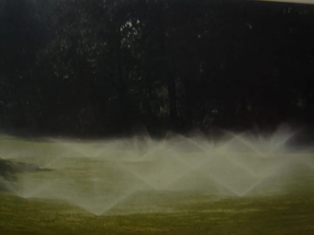 Top-rated yard maintenance for residential properties in Hampton Bays, NY by Schleicher Irrigation