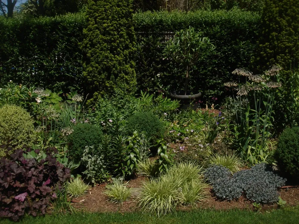 Local yard maintenance for year-round maintenance across Hampton Bays, NY - Schleicher Irrigation