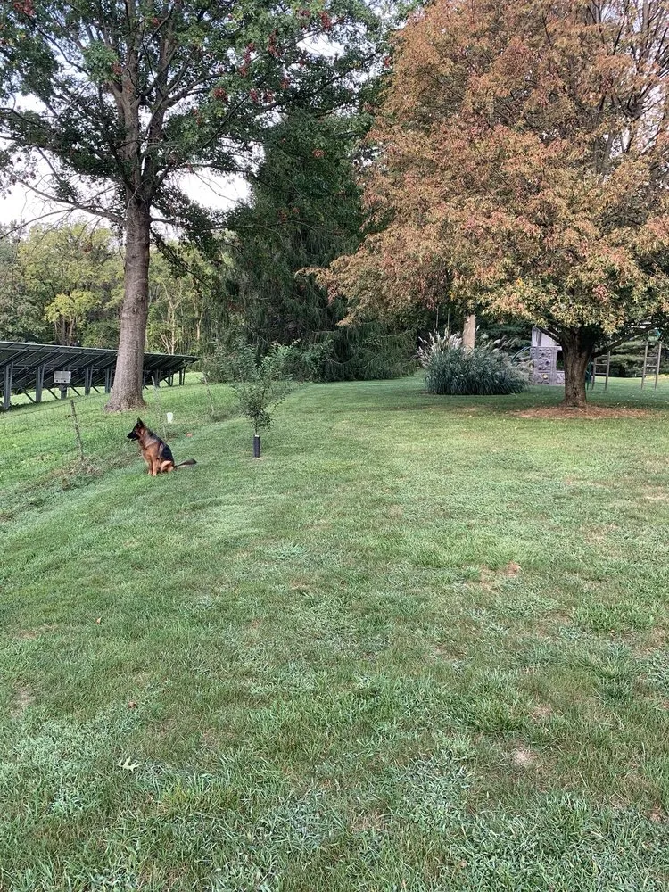 Custom yard maintenance near you in Morrisonville, IL by Schmedeke Brian Mowing & Landscaping