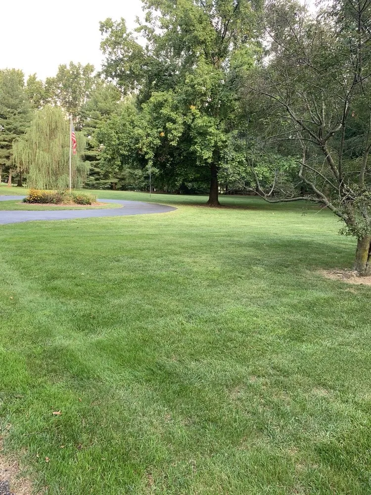 Expert lawn care service for beautiful yards across Morrisonville, IL - Schmedeke Brian Mowing & Landscaping