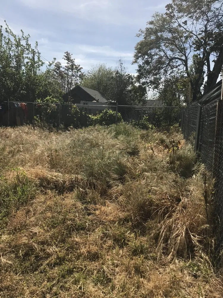 Professional residential landscaping with custom design in Modesto, CA by Schmid Landscaping