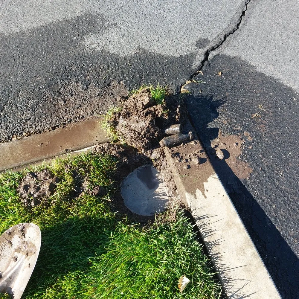 Affordable outdoor landscaping in Modesto, CA by Schmid Landscaping