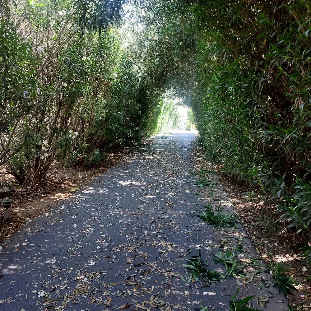 Reliable garden landscaping in Modesto, CA - Schmid Landscaping