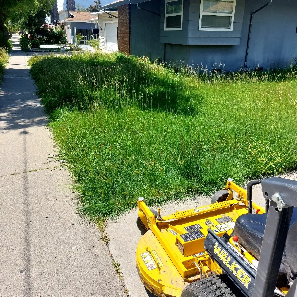 Professional lawn care service in Modesto, CA by Schmid Landscaping