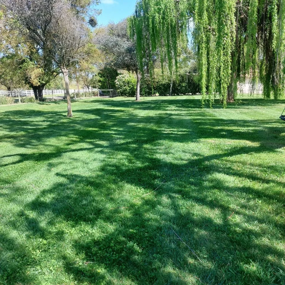 Professional landscape installation in Modesto, CA by Schmid Landscaping