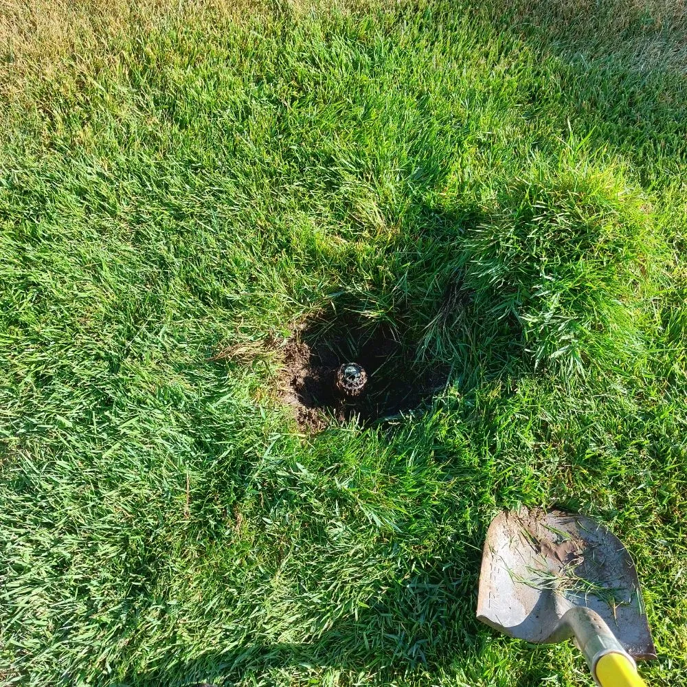 Top-rated lawn care service with custom design in Modesto, CA by Schmid Landscaping