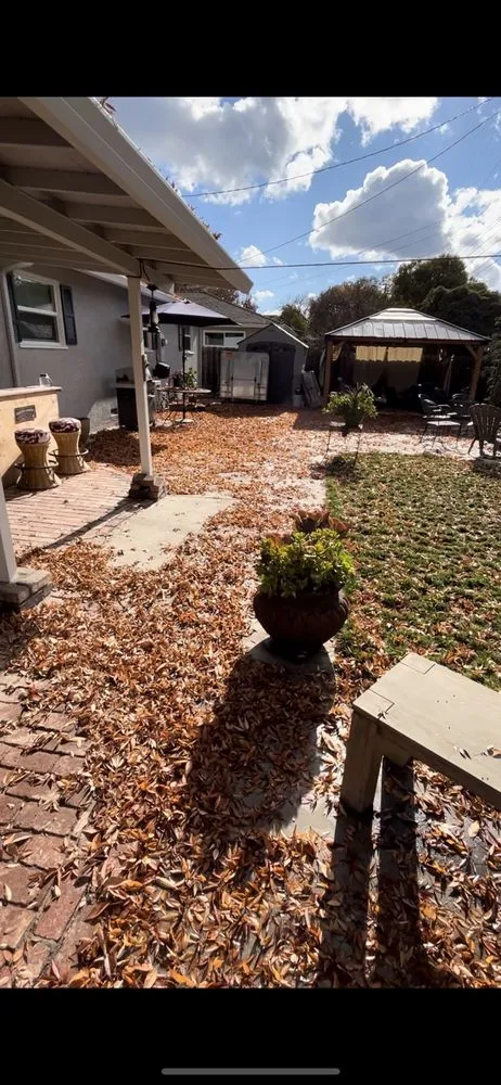 Top-rated landscape design in Modesto, CA by Schmid Landscaping