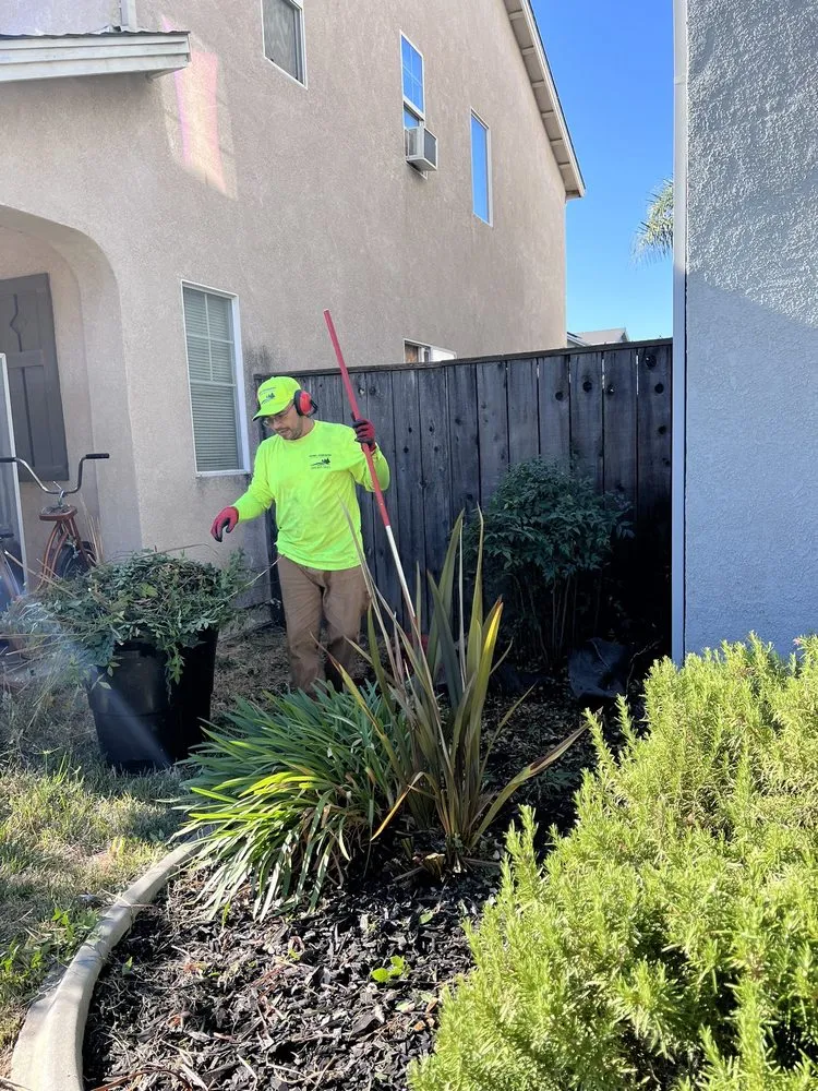 Expert lawn care service experts serving Modesto, CA - Schmid Landscaping