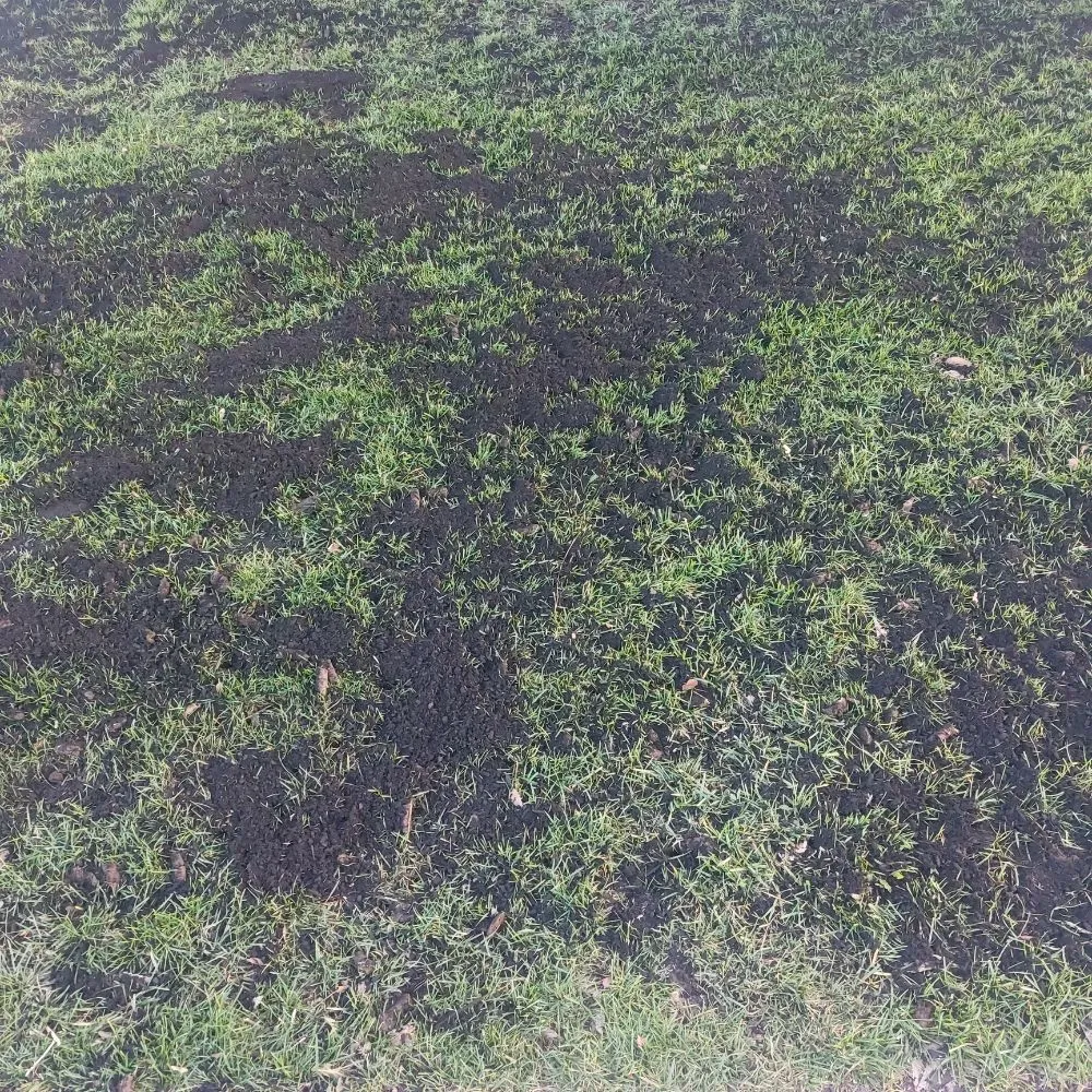 Local lawn care service with custom design across Modesto, CA - Schmid Landscaping