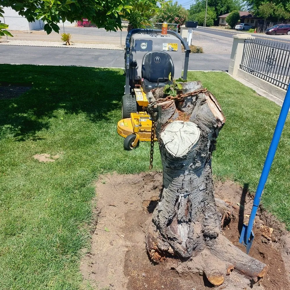 Top-rated lawn mowing service experts serving Modesto, CA - Schmid Landscaping