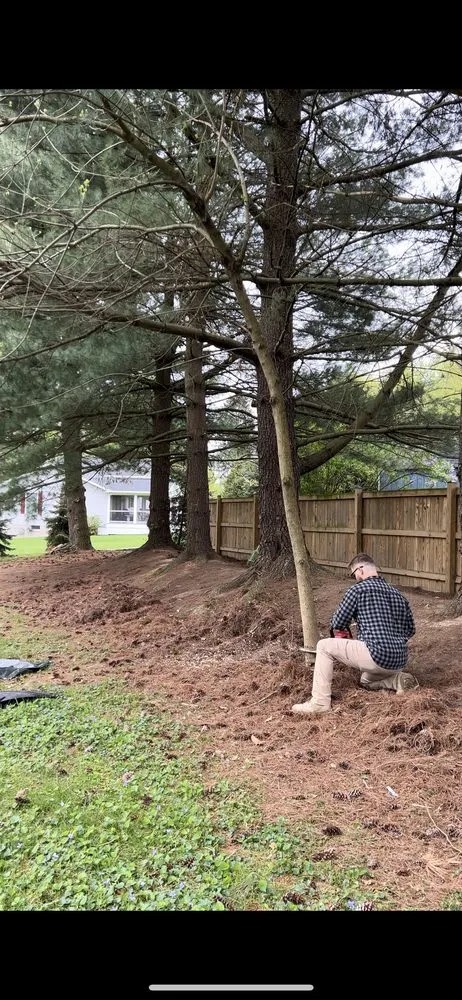 Top-rated lawn mowing service in Bel Air, MD by Schmidt Landscaping