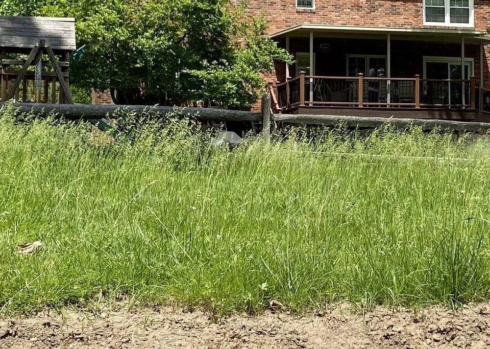 Reliable lawn mowing service near you in Mc Donald, PA by Schmidt Landscaping