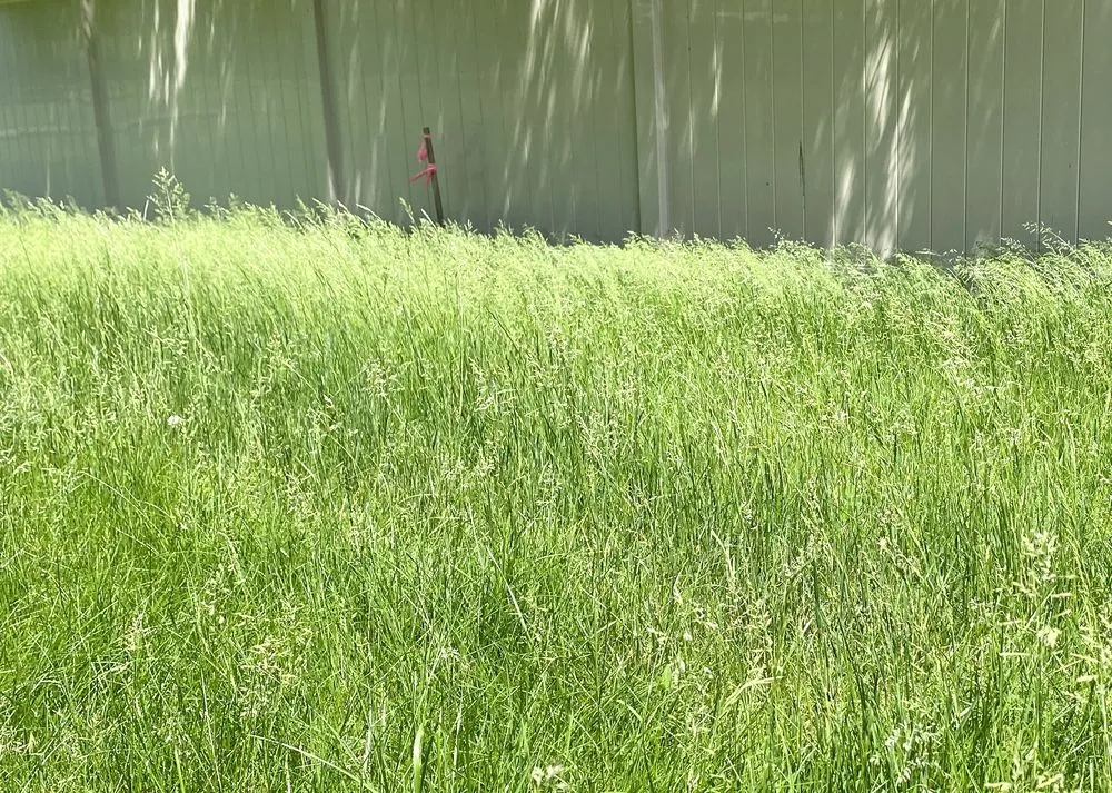 Custom outdoor landscaping for beautiful yards across Mc Donald, PA - Schmidt Landscaping