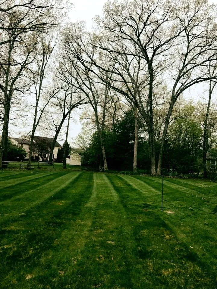 Affordable landscape design experts serving Southington, CT - Schmidt Lawn Care