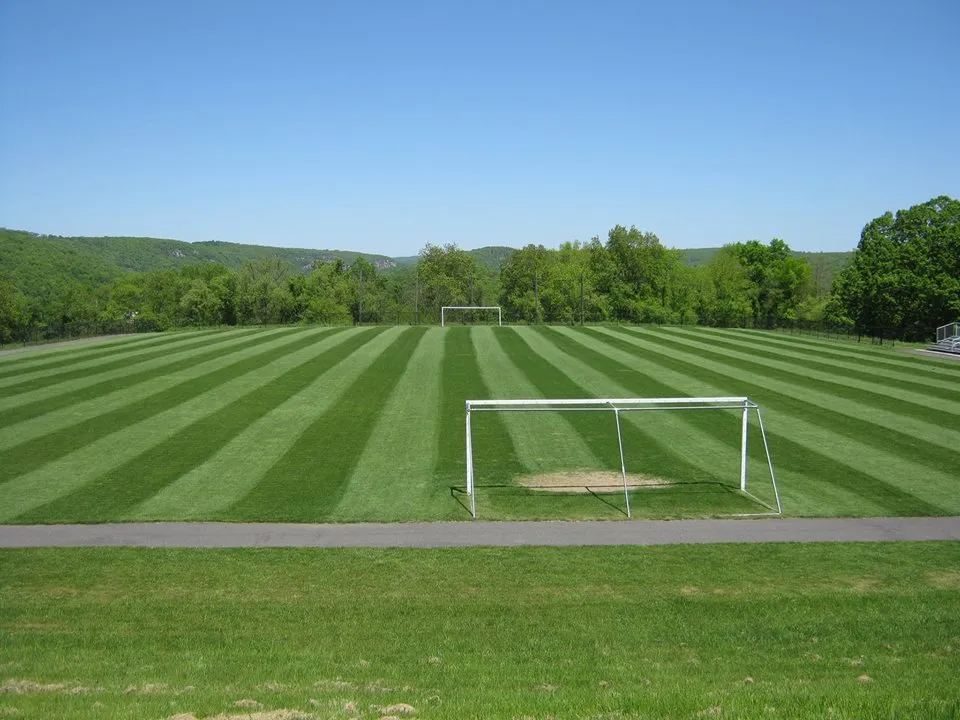 Professional yard cleanup service near you in Southington, CT by Schmidt Lawn Care