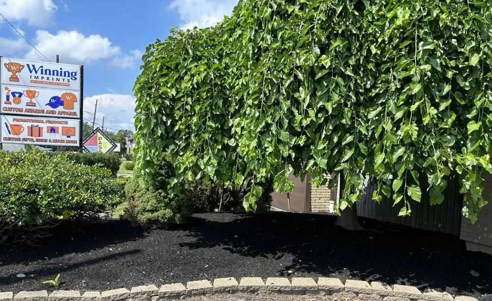 Professional outdoor landscaping for beautiful yards in Waterford, MI by Schmidty’s Landscaping