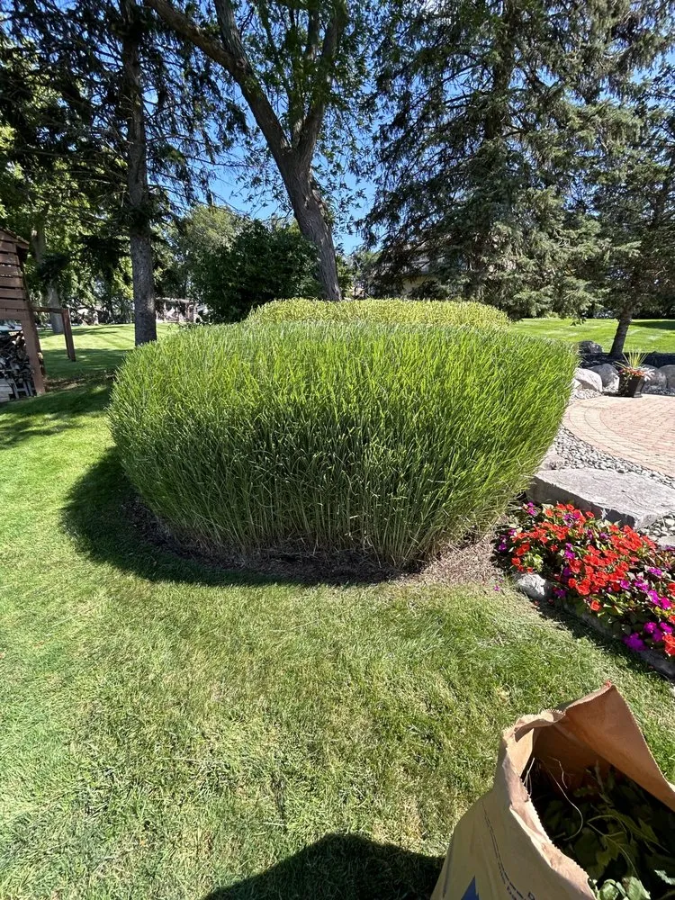 Top-rated yard maintenance experts serving Waterford, MI - Schmidty’s Landscaping