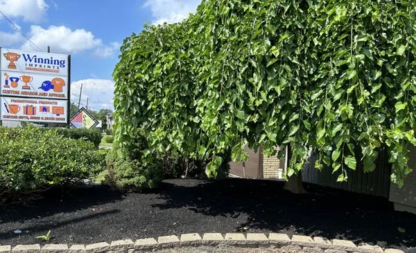 Schmidty’s Landscaping Logo