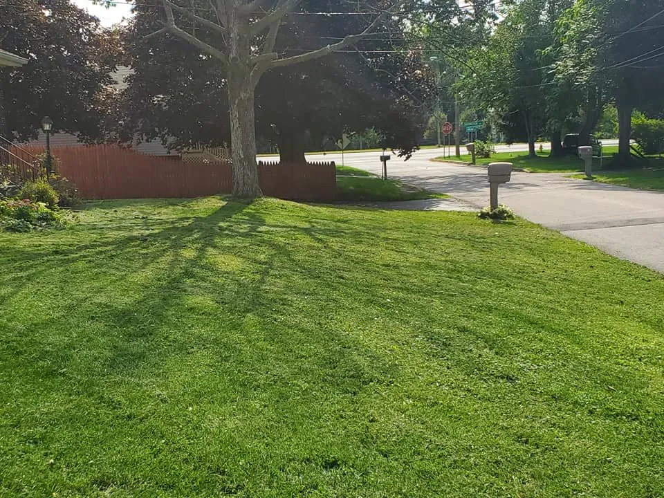 Reliable residential landscaping in Buffalo, NY - Schmidty's Lawn Care