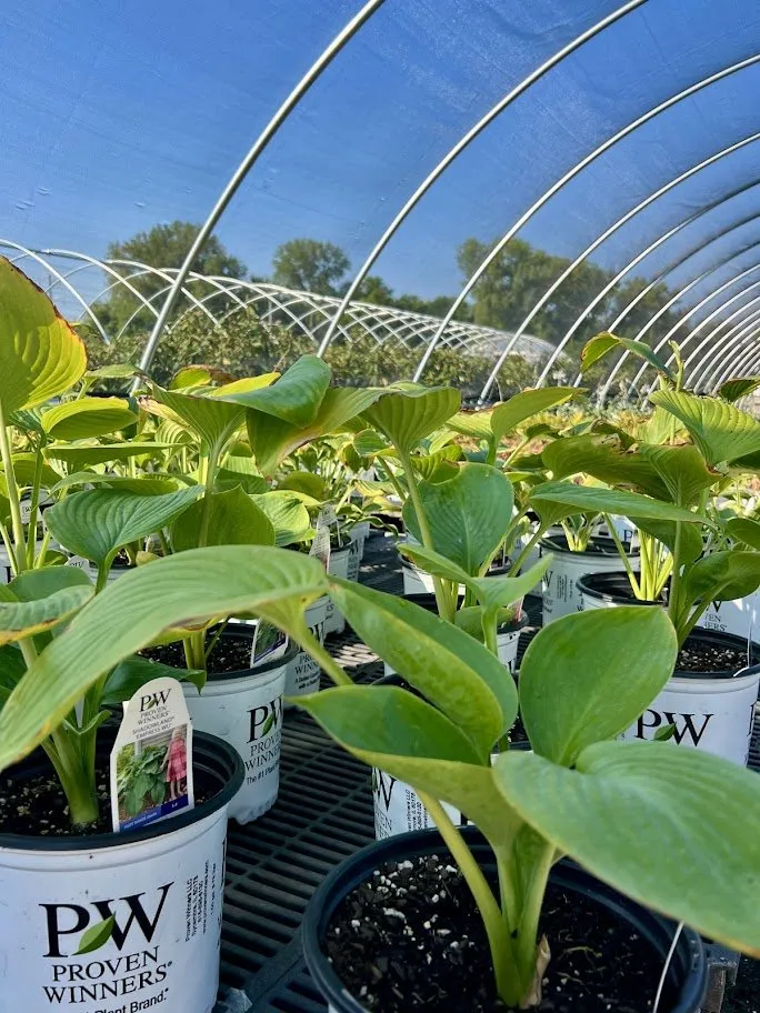 Trusted landscape installation for outdoor upgrades in Maryland Heights, MO by Schmittel's Nursery