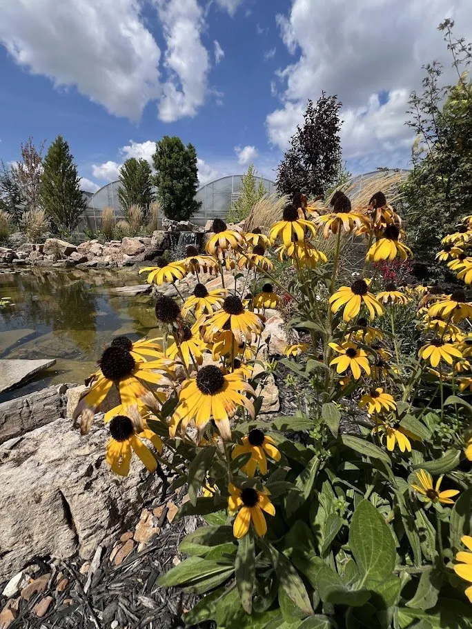 Local landscape installation in Maryland Heights, MO by Schmittel's Nursery