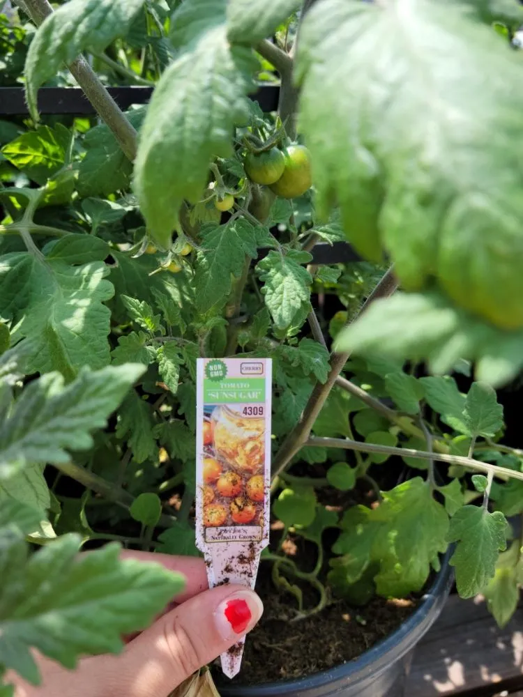 Trusted landscape installation in Maryland Heights, MO by Schmittel's Nursery