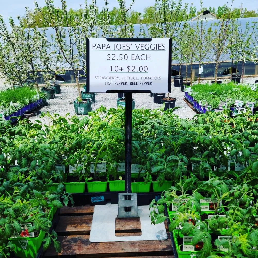 Affordable yard cleanup service in Maryland Heights, MO by Schmittel's Nursery