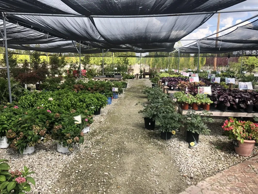 Affordable outdoor landscaping in Maryland Heights, MO by Schmittel's Nursery