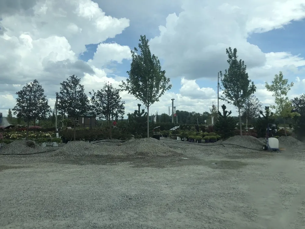 Top-rated landscaping services in Maryland Heights, MO - Schmittel's Nursery