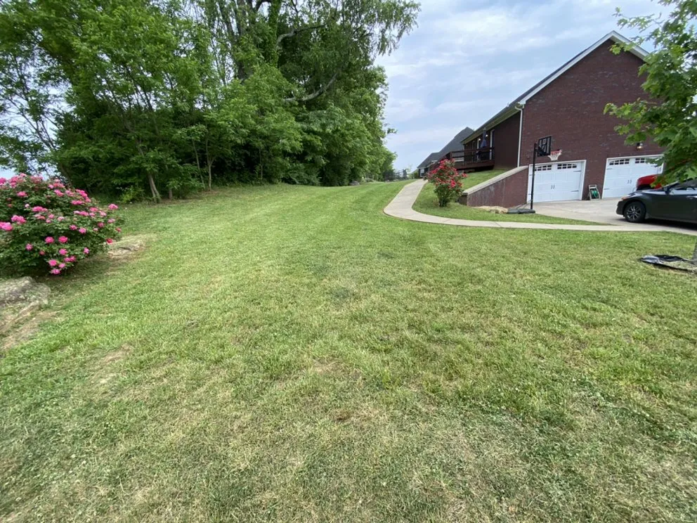 Top-rated yard maintenance with custom design across Springfield, KY - Schmitty’s Lawn Care